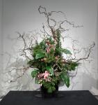 02 - Mitsugi Kikuchi -- Embassy of Japan.jpg 5.0K